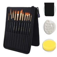 Professional nail art brush set with carrying case for precise beauty and cosmetic application.