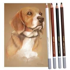 Beagle dog portrait drawing with colored pencils, showcasing detailed artwork and vibrant colors, ideal for pet lovers and art enthusiasts.