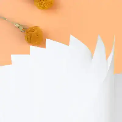 Bright orange and white abstract background with paper cut-outs and yellow textured flowers, creating a visually appealing display for Monalisa Store's optical and vision care products.