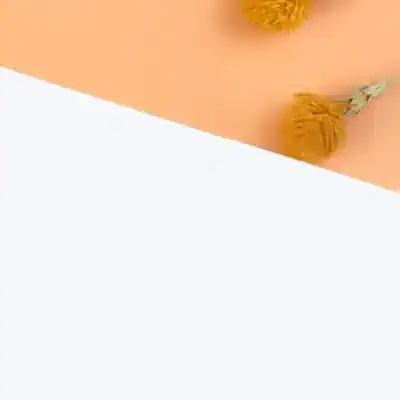 Dried orange flowers on pastel peach and white background, minimal aesthetic, suitable for beauty or wellness product visuals.