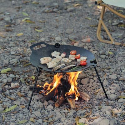 Grill cooking fresh fish and vegetables over an outdoor fire on a portable cast iron grill with stones and fallen leaves around.