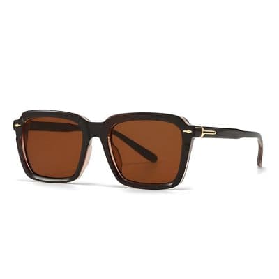Stylish black and brown sunglasses with gold accents, perfect for fashion-forward and eye protection needs.