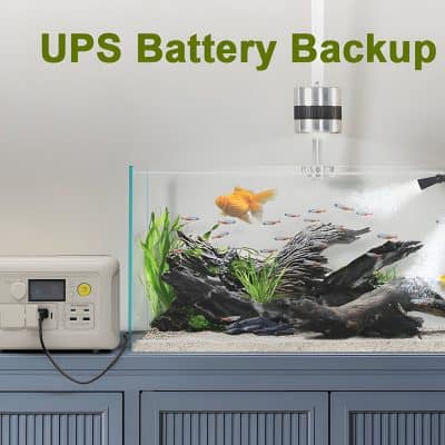 Powering aquarium with UPS battery backup for reliable fish tank illumination and filtration during power outages. Eco-friendly, silent, emergency backup solution for aquatic enthusiasts.