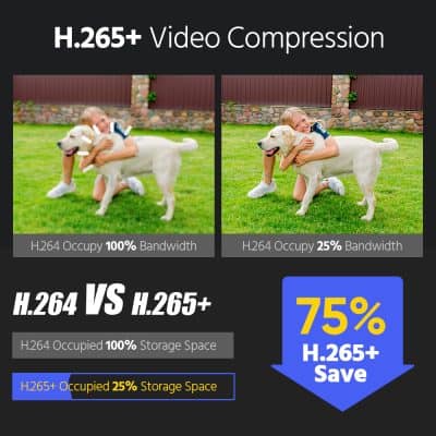 High-quality image of a young girl hugging a Labrador retriever in a lush green backyard, illustrating benefits of Monalisa Store's optometry products with vibrant colors and clear details.