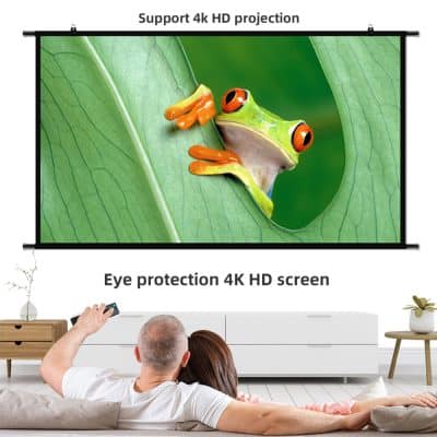 Vivid 4K HD projection of colorful frog on lush green leaf, showcasing high-quality display for home entertainment and digital signage from Monalisa Store.