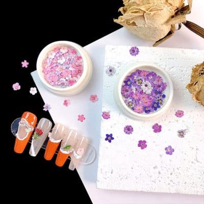 Pink and purple pressed flower nail art decorations and colorful floral nail designs for manicures, showcasing a variety of spring-inspired nail art options at Monalisa Store.