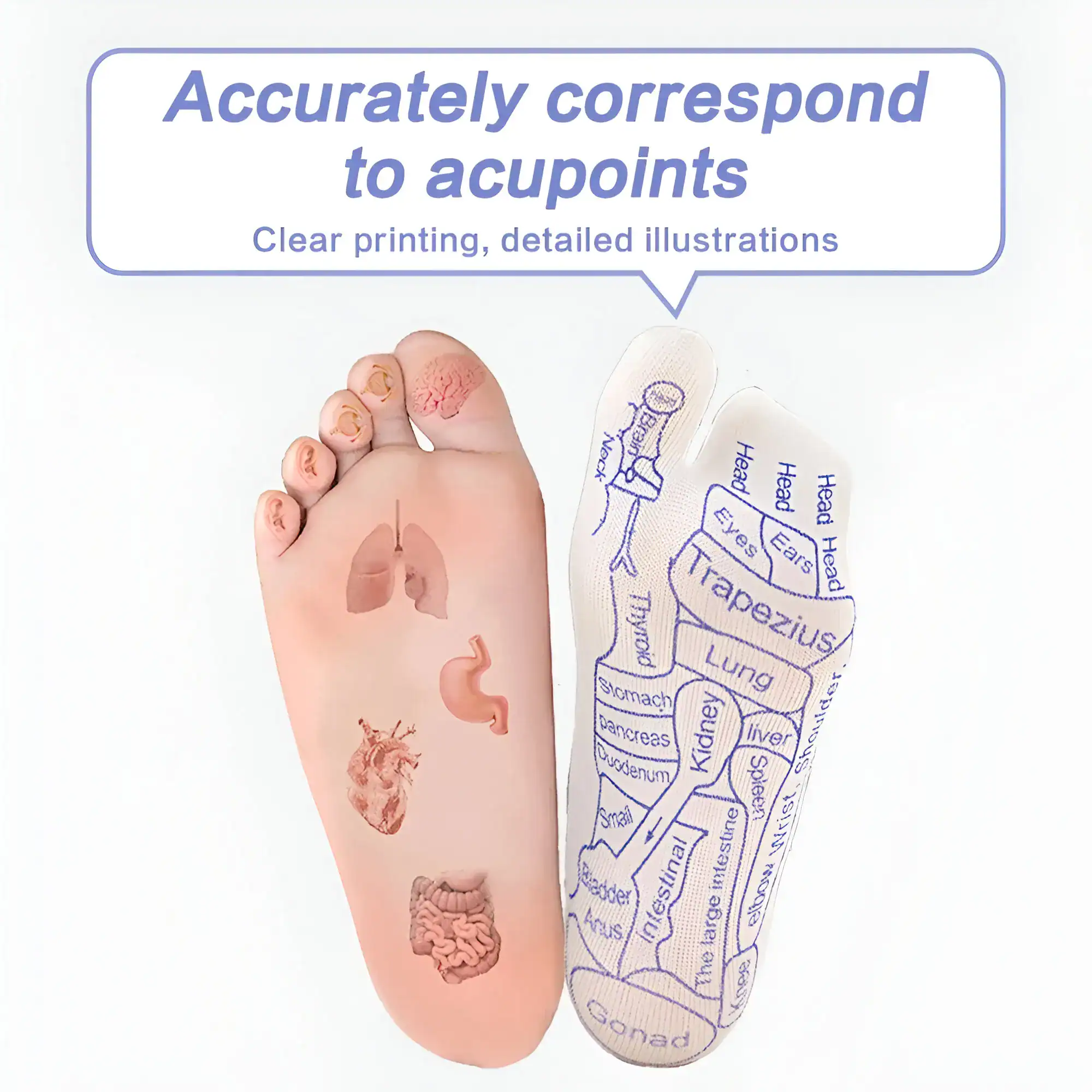 Precise acupressure foot map with sectional illustrations highlighting key points for health and wellness, including toes, arch, and sole areas for targeted therapy.