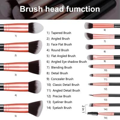 Brush head function makeup brushes for eyelid and face, including tapered, angled, flat, round, blending, concealer, eyeliner, and detail brushes, ideal for professional and personal cosmetic application.