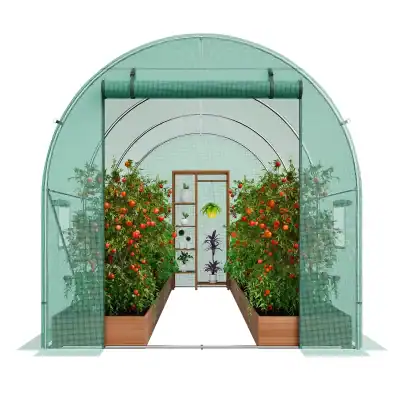 A spacious, transparent greenhouse for growing fruit trees, vegetables, and decorative plants, offering optimal sunlight and protection for healthy plant growth.