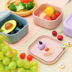 Colorful Bento lunchbox containers with assorted fresh fruits and mini desserts, ideal for kids' snack storage and healthy eating at Monalisa Store.