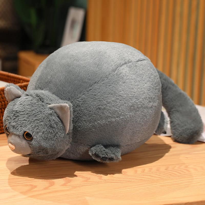 Gray Cat