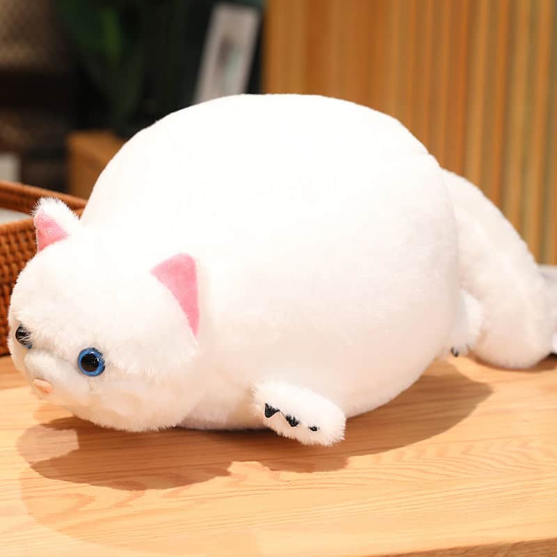 White Cat