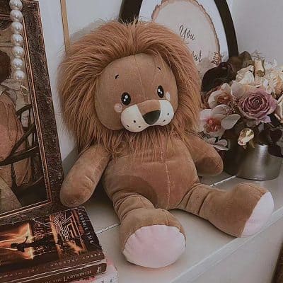 Soft plush lion toy, cozy home decor accessory, ideal for children and kids' rooms, available at Monalisa Medical Store for comfort and playful interior design.