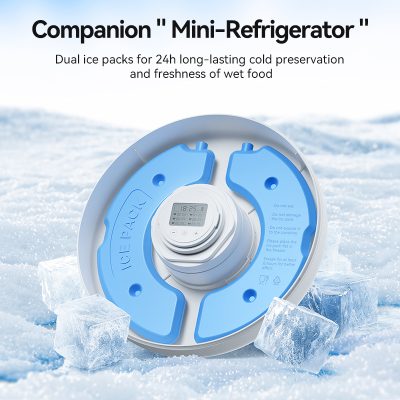 Ice pack for cold preservation, mini refrigerator accessory, dual ice packs for long-lasting cold storage, compact cooling solution for wet food, portable ice packs for outdoor use and safety, ideal for refrigeration at Monalisa Store.
