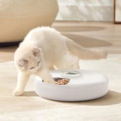 Automatic cat feeder with kitten eating dry food, Monalisa Store pet feeding product, modern and automatic pet food dispenser, ideal for cats and small pets, sleek design for easy feeding.