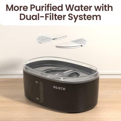 Filtered water purifier with dual-filter system for clean and healthy water.