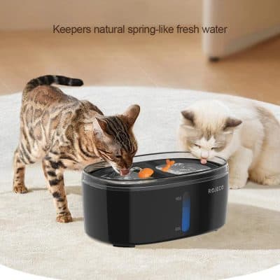 Glowing pet water fountain for cats and dogs, keeps water fresh and spring-like; ideal for healthy hydration and enhanced pet wellness.