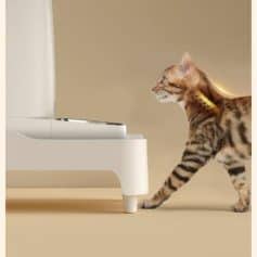 Modern cat with a yellow collar reaching for a sleek, white smart litter box in a minimalistic setting, showcasing innovative pet care solutions at Monalisa Store.