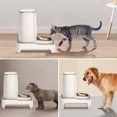 Automatic pet feeder, smart pet food dispenser, pet feeding station, intelligent pet feeding, digital pet feeder for cats and dogs.