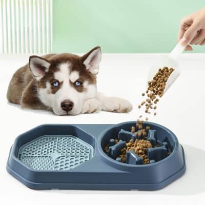 High-quality husky puppy lying on white surface with dry dog food, pet feeding bowl, and hand scooping kibble, pet nutrition, and care, Monalisa Medical store.