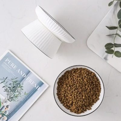 Alginate impression material for dental molds at Monalisa Store, healthy food options, lifestyle products, and modern interior decor for eye care and optometry professionals.