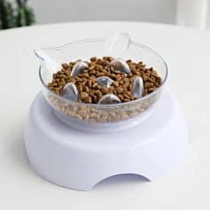 High-tech pet food dispenser with stainless steel bowls for efficient feeding. Perfect for automatic pet feeding, ensuring your pets are fed on schedule. Suitable for dog and cat owners seeking convenient pet care solutions.