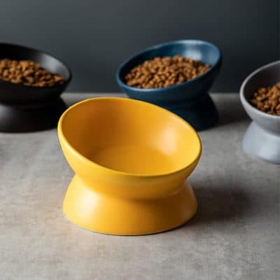 Yellow ceramic pet food bowl for dogs or cats on a gray surface with colorful bowls in the background.