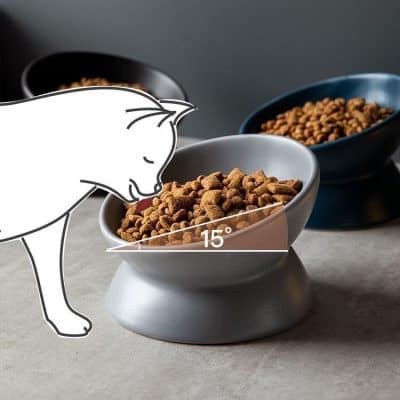 Crispy cat food in gray bowl with angle measurement infographic, pet nutrition, and healthy cat treats.
