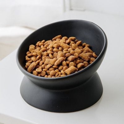 High-quality pet food kibble in a black bowl on a white surface, emphasizing nutritious dog and cat food options.