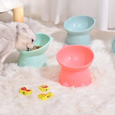 Bowl for cats, dog food bowl, pet feeding dish, slime resistant pet bowls, colorful pet food bowls for cats and dogs.