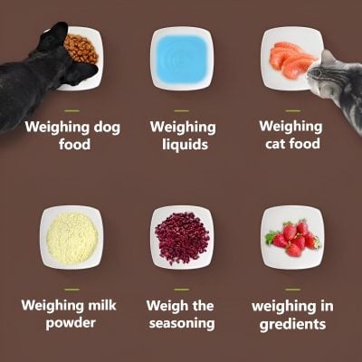 Fine-tuned image of cats measuring and weighing pet food, liquids, and ingredients for accurate pet nutrition; includes milk powder, seasoning, and berries, emphasizing pet care and feeding accuracy.