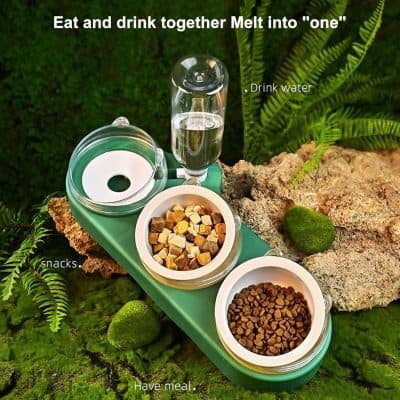 Fresh pet food bowls with kibble and water on a green tray surrounded by natural moss and rocks, promoting healthy pet nutrition at Monalisa Store.