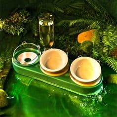 Luxury spa pet grooming tub with bowls and water bottle in lush green environment, perfect for pet relaxation and grooming services.