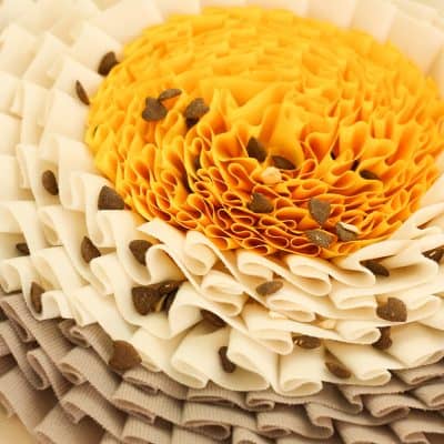 Colorful layered pasta with chocolate chips, decorated for festive or decorative purposes suitable for food presentation or culinary display.