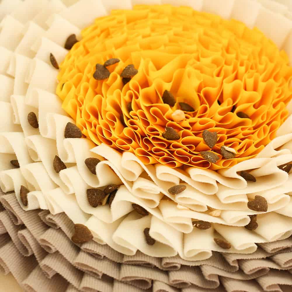 Colorful layered pasta with chocolate chips, decorated for festive or decorative purposes suitable for food presentation or culinary display.