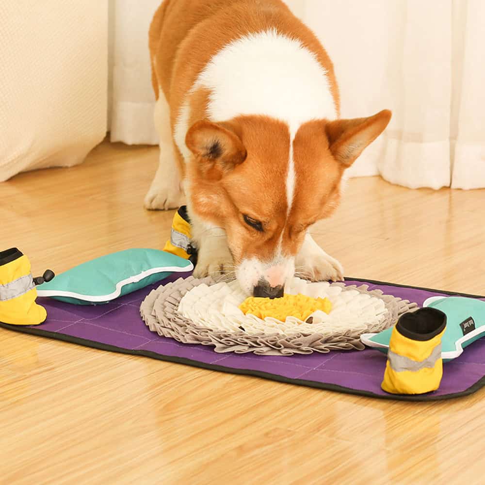 Bright orange and white dog playing with a simulated food toy on a colorful pet mat, promoting pet engagement and interactive pet products at Monalisa Store.