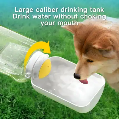 Fresh water drinking station for pets, large caliber water dispenser for dogs, easy to use pet water bowl, hygienic and safe drinking solution for dogs.