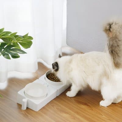 High-quality pet feeding station for cats with dual bowls, modern and stylish design, perfect for home decor and ensuring your cat’s nutritional needs are met efficiently.