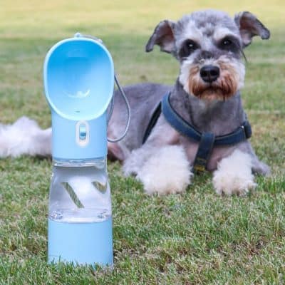 Water dispenser for pets with attached water bowl on green grass, dog lying next to it, outdoor setting, portable pet hydration station, ideal for outdoor walks, traveling with pets, and ensuring pet hydration.