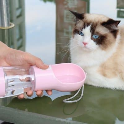 Bcrz3a1kphp8p1koa4p7.jpg alt text: Pet water dispenser with a cute Ragdoll cat gazing at it, ideal for pet care and hydration at Monalisa Medical Store. caption: Ragdoll cat drinking water from a pink pet dispenser, highlighting pet hydration products available at Monalisa Medical Store. image description: The image features a Ragdoll cat with striking blue eyes and fluffy fur sitting patiently as a person fills a pink pet water dispenser. The scene emphasizes pet wellness products offered by Monalisa Medical Store to ensure proper pet hydration and care. relevance: relevant.