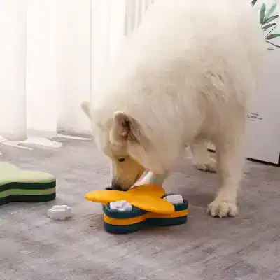Siberian husky playing with dog puzzle toy for mental stimulation and enrichment at Monalisa Store.