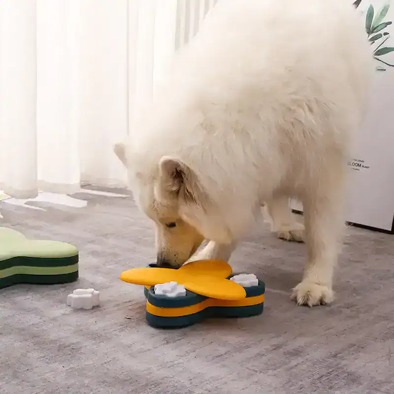 Siberian husky playing with dog puzzle toy for mental stimulation and enrichment at Monalisa Store.