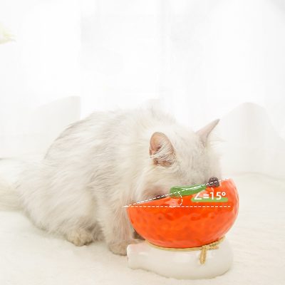 Relaxed cat with spherical laser toy for eye exercises, promoting eye health and vision care, on a white background.