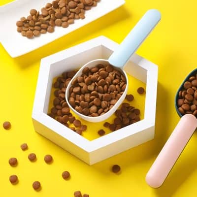 Crunchy brown lentils in a white scoop on a white hexagonal tray with scattered lentils on a vibrant yellow background.