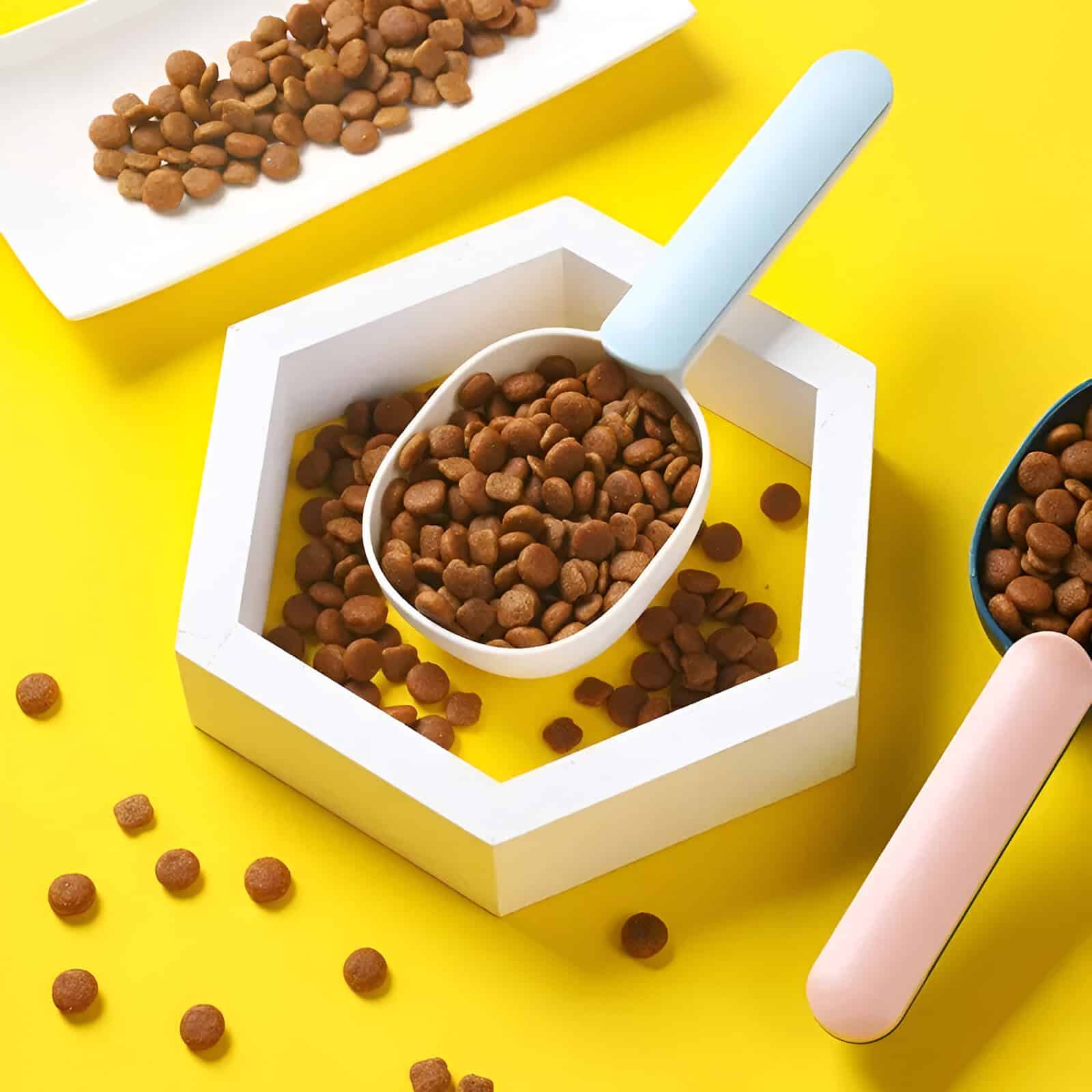 Crunchy brown lentils in a white scoop on a white hexagonal tray with scattered lentils on a vibrant yellow background.