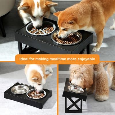 Shiba inu and old english sheepdog eating from dual pet food bowls on elevated stand, modern pet feeding station, comfortable and practical dog feeding setup, Monalisa Medical Store pet accessories.