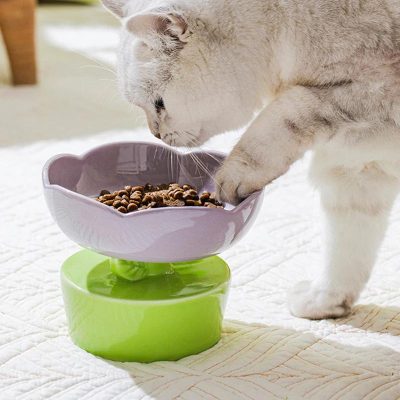 Fresh cat food bowl on a white bed with a playful cat feeding it for pet nutrition, pet food, and healthy feline diet.