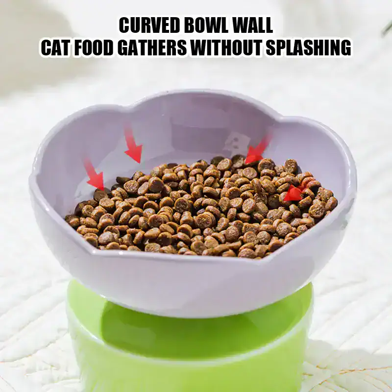 Curved bowl wall for cat food, splash-proof design, pet feeding, non-splash cat bowl, Monalisa Medical.