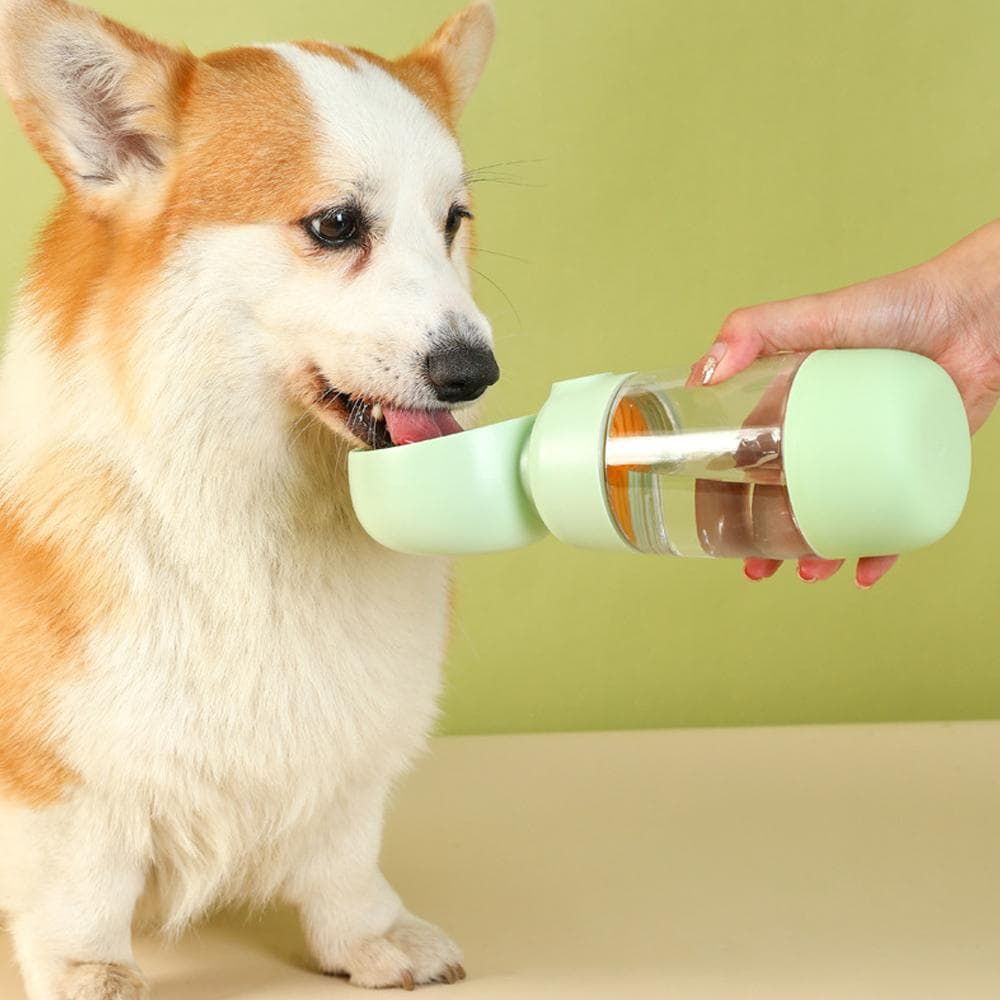 Portable pet water bottle with a leak-proof design for dogs, travel-friendly water dispenser, easy to use dog drinking bottle for outdoor walks and adventures.