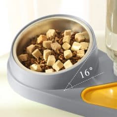 High-tech pet feeder with adjustable 16° tilt, automatic food dispensing, ideal for cats and dogs, modern design, and premium quality pet nutrition accessories.